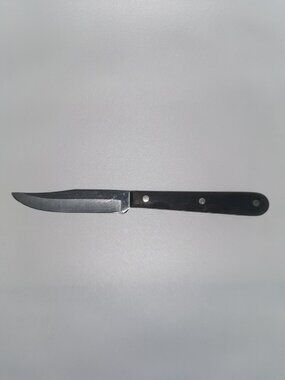 Vintage CASE XX Classic CA-273 SSP Carving Knife Wood Handle 7 in